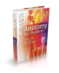 Medical terminology with human anatomy paperback
